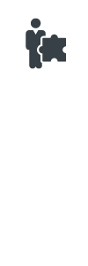 Vestibular